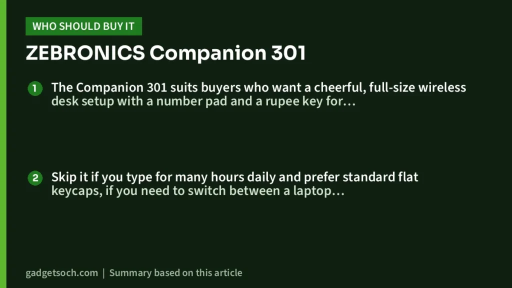 Who should buy the ZEBRONICS Companion 301